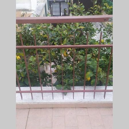 Appto Limone Apartment Lido di Ostia Bagian luar foto