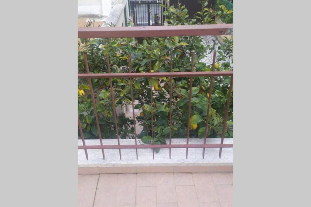 Appto Limone Apartment Lido di Ostia Bagian luar foto